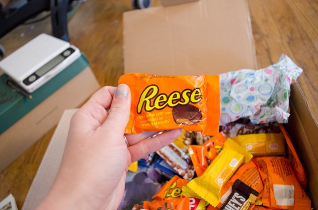 exchangeII (4 of 32)